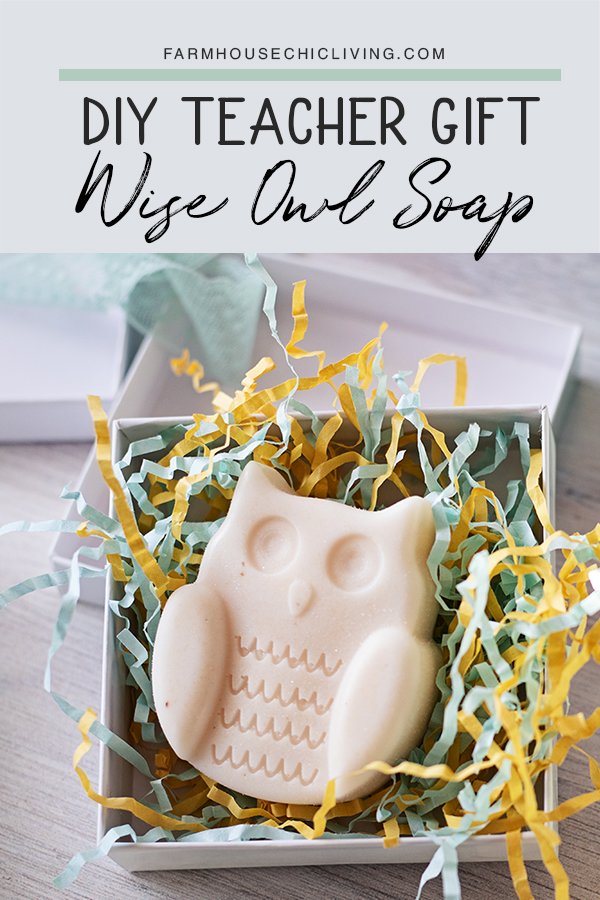 I had no idea homemade soap could be so easy and inexpensive to make! The large size, owl shape, light honey scent, and creamy lather make this owl milk and honey soap one of my favorite thoughtful, yet clever teacher gift ideas. 