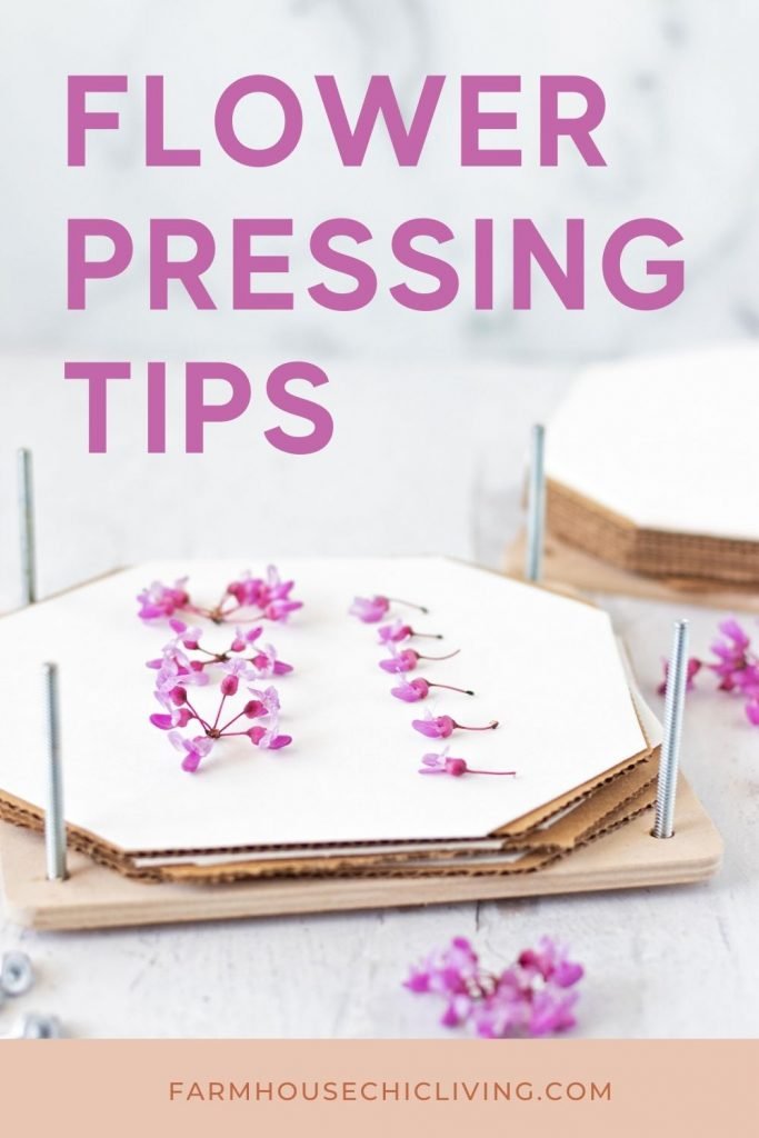 Tips for Collecting and Preparing Herbs, Leaves, and Flowers for Pressing