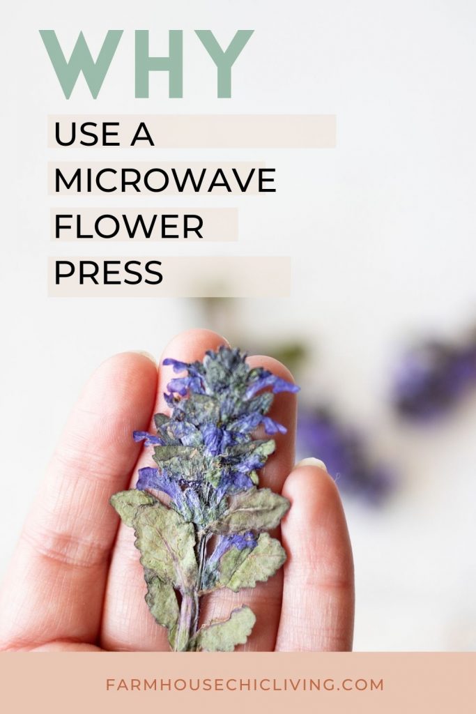Why use a microwave flower press?  Is there a difference? Check out my before and after!
